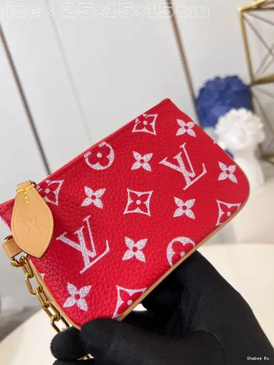 25 Vuitton Louis SPEEDY 0524